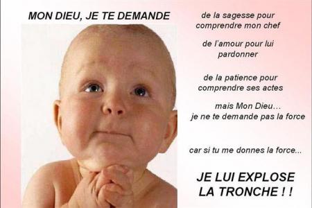 Il et tro chou
