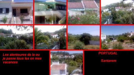Mon bled